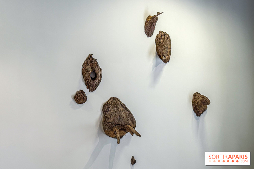 Lélia Demoisy au Domaine de Chamarande : une exposition autour des récits de forêts
