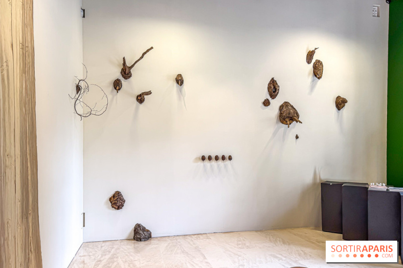 Lélia Demoisy au Domaine de Chamarande : une exposition autour des récits de forêts