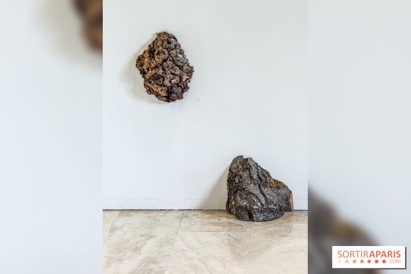 Lélia Demoisy au Domaine de Chamarande : une exposition autour des récits de forêts