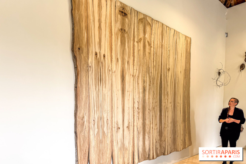 Lélia Demoisy au Domaine de Chamarande : une exposition autour des récits de forêts