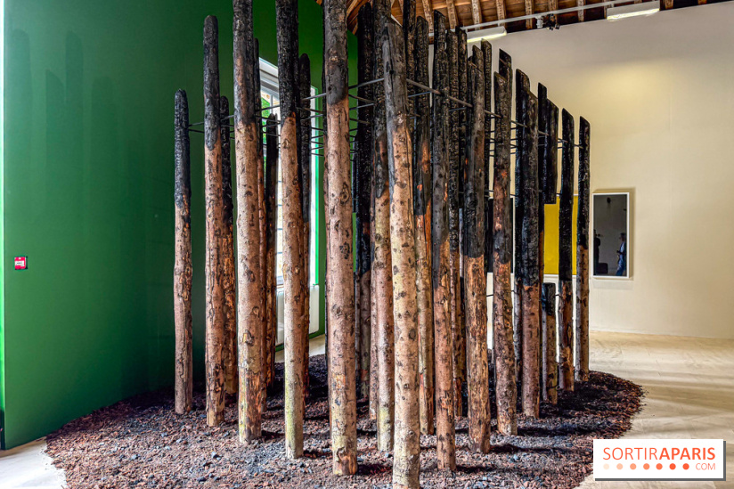 Lélia Demoisy au Domaine de Chamarande : une exposition autour des récits de forêts