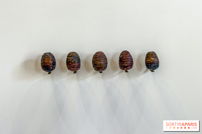 Lélia Demoisy au Domaine de Chamarande : une exposition autour des récits de forêts