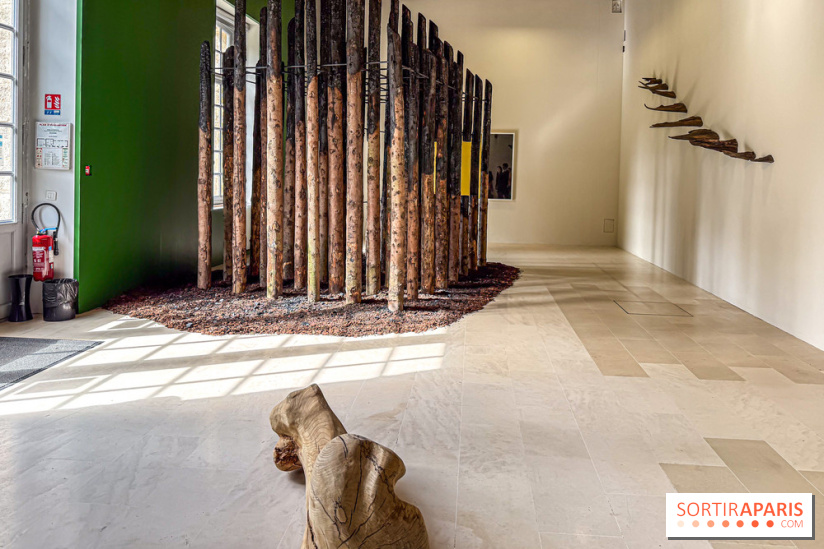 Lélia Demoisy au Domaine de Chamarande : une exposition autour des récits de forêts