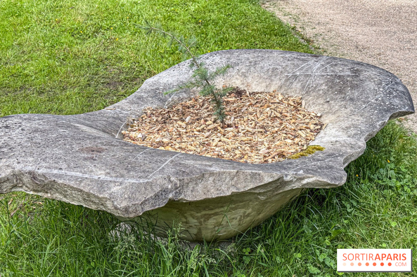 Lélia Demoisy au Domaine de Chamarande : une exposition autour des récits de forêts
