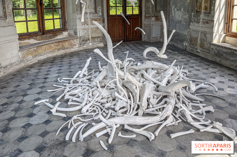 Lélia Demoisy au Domaine de Chamarande : une exposition autour des récits de forêts