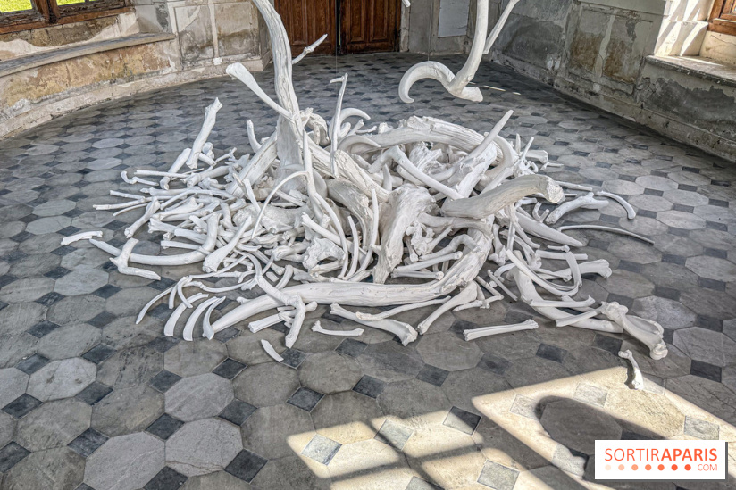 Lélia Demoisy au Domaine de Chamarande : une exposition autour des récits de forêts