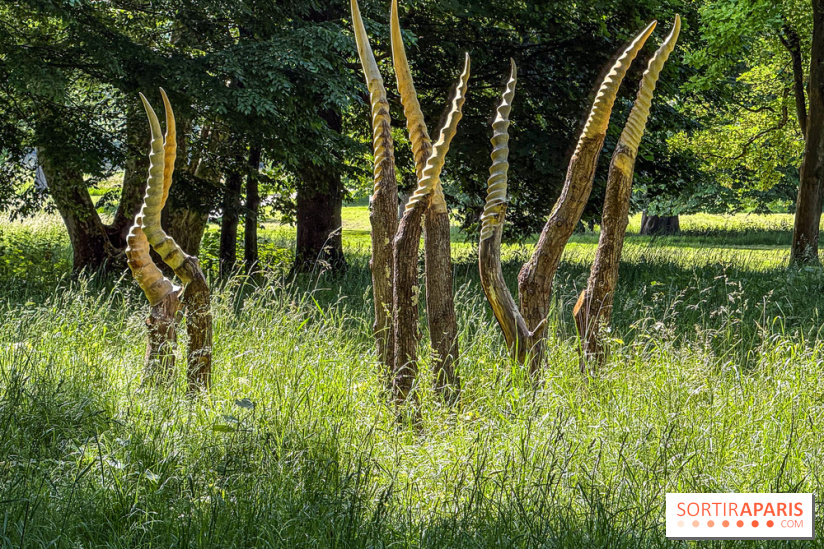 Lélia Demoisy au Domaine de Chamarande : une exposition autour des récits de forêts