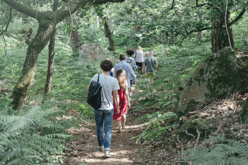 Les Nuits des Forêts 2026 : 17 jours pour écouter le vivant en Île-de-France