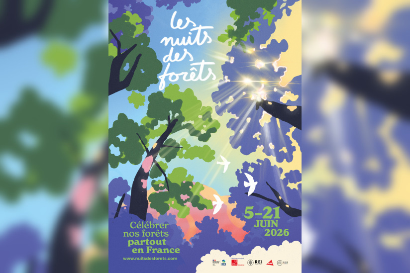 Les Nuits des Forêts 2026 : 17 jours pour écouter le vivant en Île-de-France