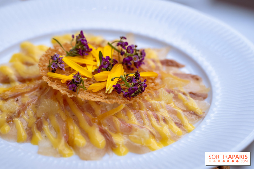 La terrasse jardin du Sax Hotel avec piscine - carpaccio de sériole