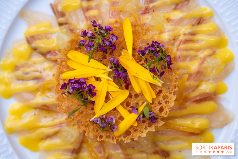 La terrasse jardin du Sax Hotel avec piscine - lcarpaccio de sériole