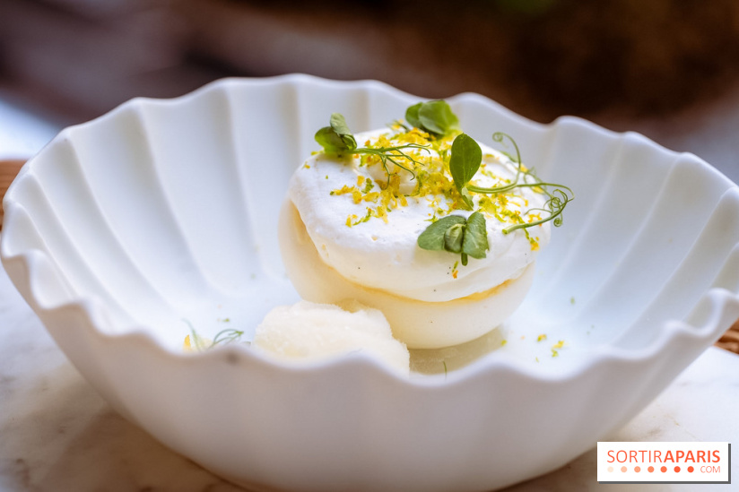 La terrasse jardin du Sax Hotel avec piscine - pavlova citron