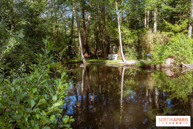 Le Parc et château de Lardy en Essonne - photos