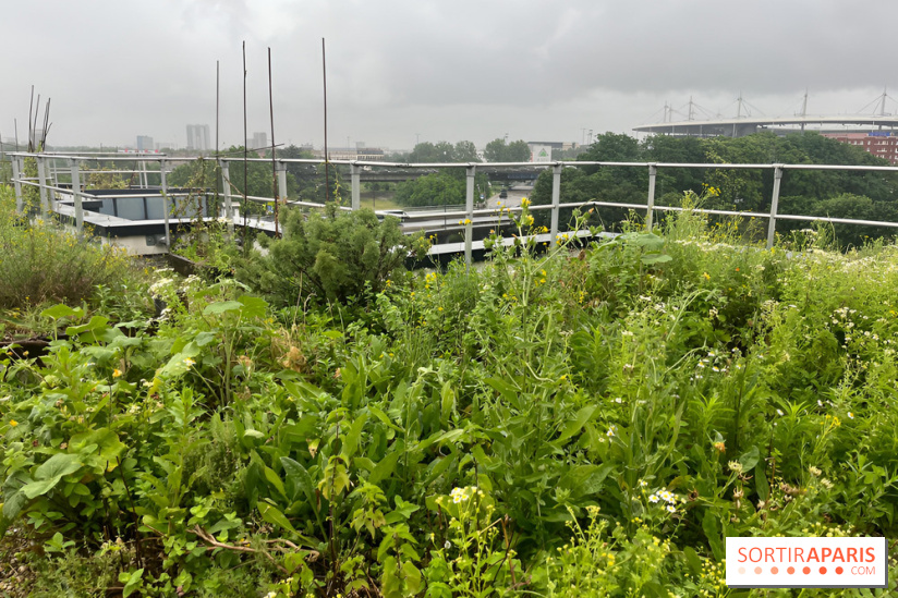 L'aromathèque Persépolis, sur le toit de la bourse du travail à Saint-Denis - nos photos