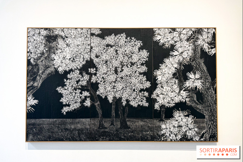 Les Esquisses de La Caverne, l'exposition gratuite de JR à la galerie Perrotin