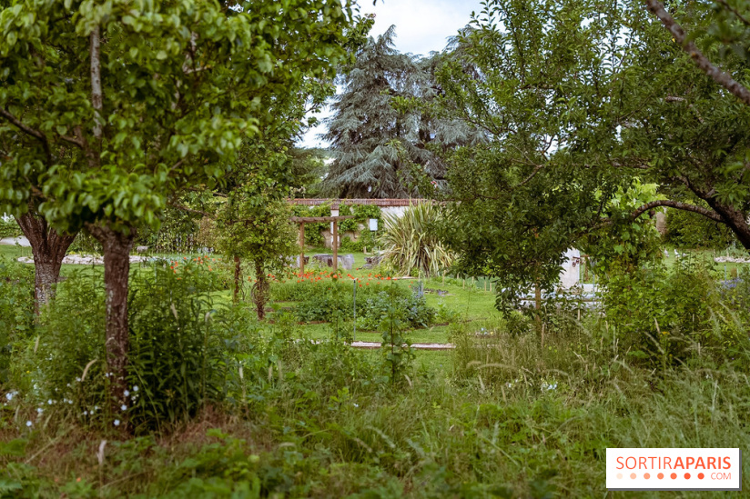 Le domaine du Chateau de la Celle SainCloud dans les Yvelines - photos