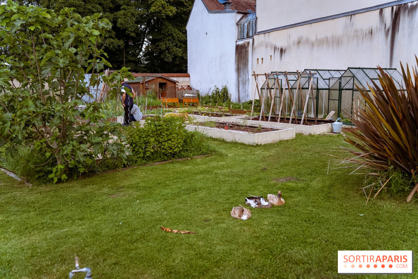 Le domaine du Chateau de la Celle SainCloud dans les Yvelines - photos