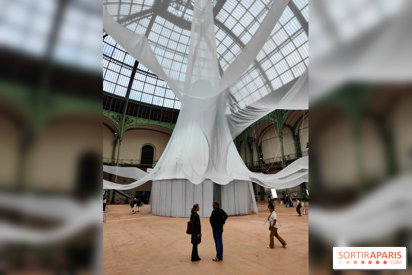 Nous, frissons d'étoile : une installation immersive contemporaine au Grand Palais