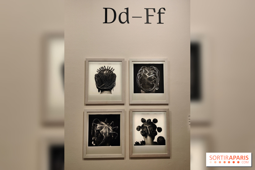La photographie en toutes lettres, un abécédaire artistique exposé à la MEP