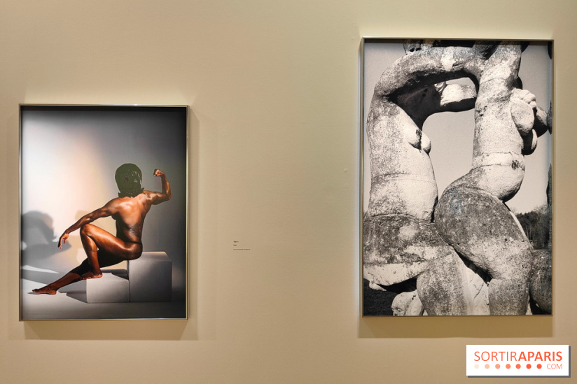 Exposition : Camille Vivier en rétrospective à la Maison Européenne de la Photographie