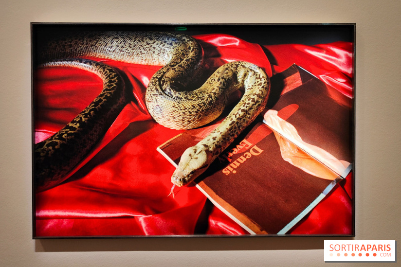 Exposition : Camille Vivier en rétrospective à la Maison Européenne de la Photographie
