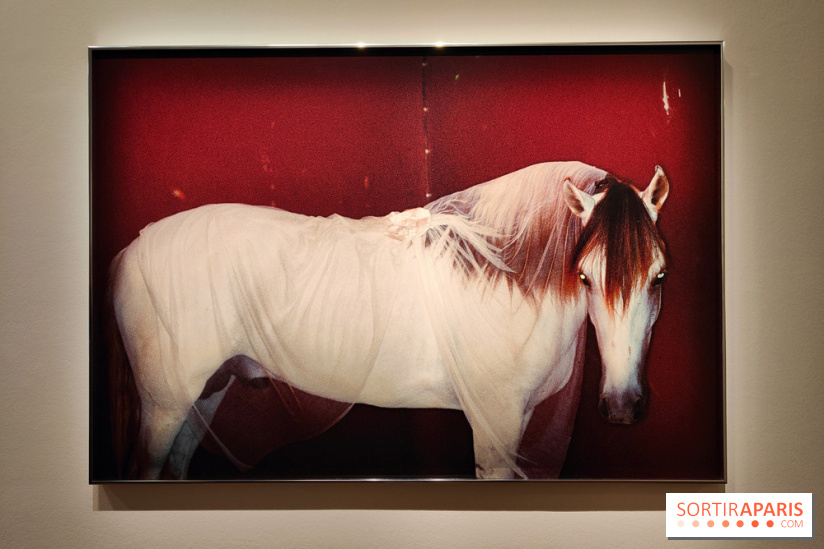 Exposition : Camille Vivier en rétrospective à la Maison Européenne de la Photographie
