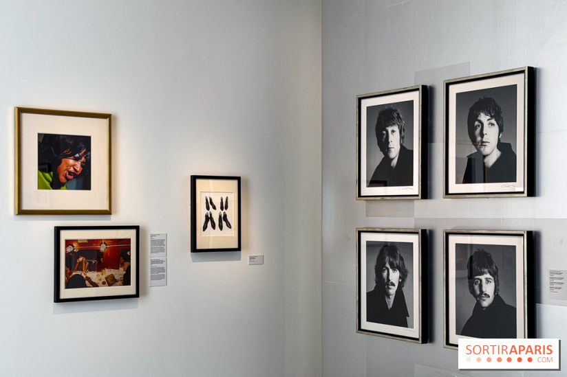 Fragiles beautés : la collection de photos d'Elton John exposée au Jeu de Paume