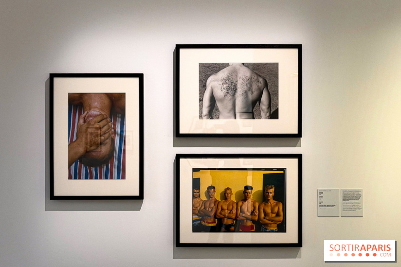 Fragiles beautés : la collection de photos d'Elton John exposée au Jeu de Paume