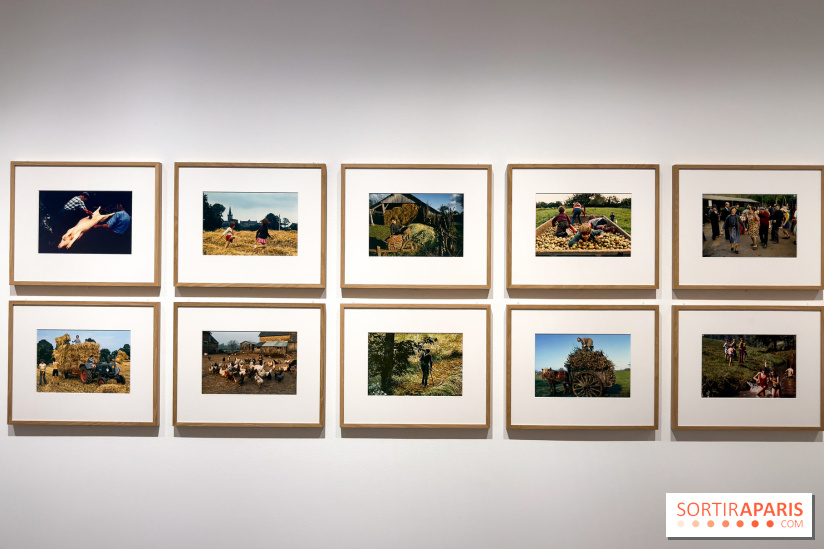 Madeleine de Sinéty, une vie : l'exposition rétrospective au Jeu de Paume