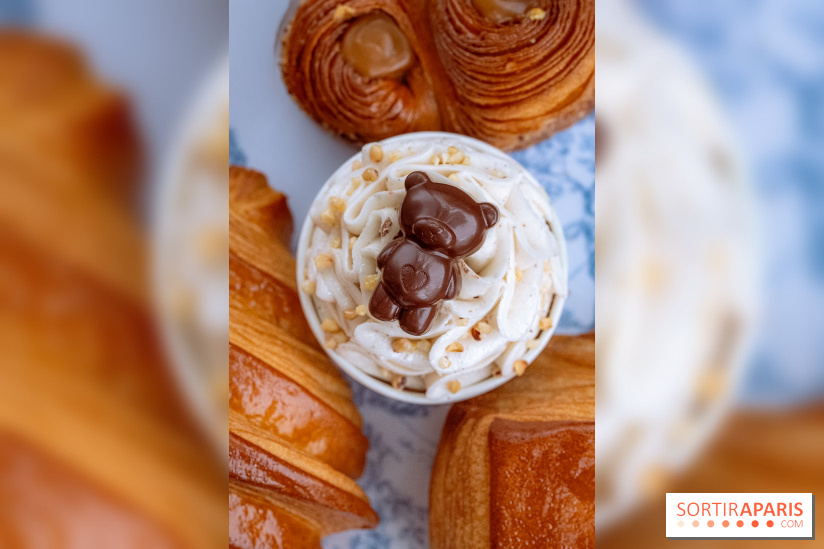 Le comptoir à glaces de Pleincœur et ses coupes glacées - photos