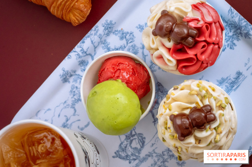 Le comptoir à glaces de Pleincœur et ses coupes glacées - photos