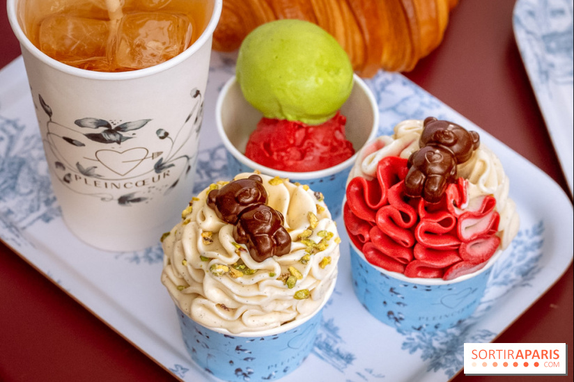 Le comptoir à glaces de Pleincœur et ses coupes glacées - photos