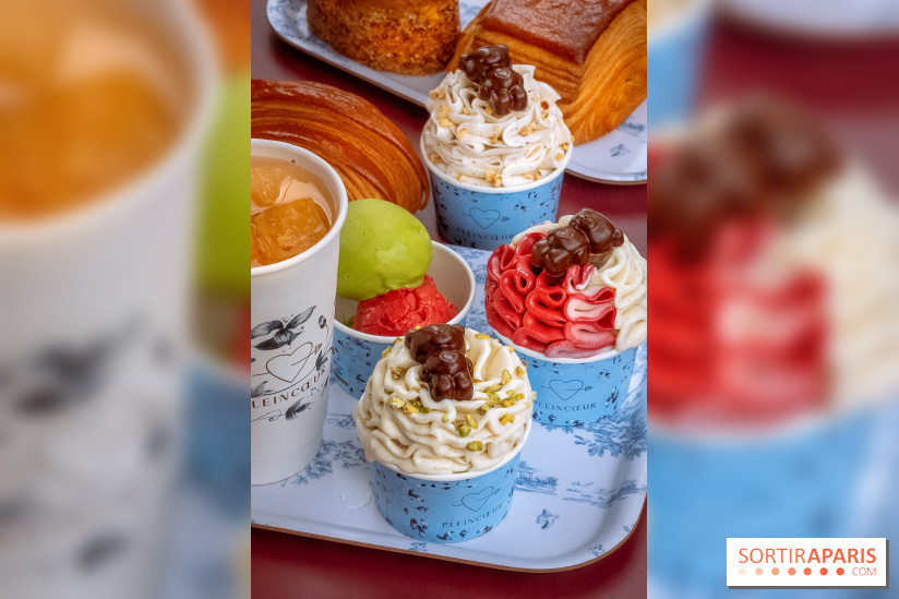 Le comptoir à glaces de Pleincœur et ses coupes glacées - photos