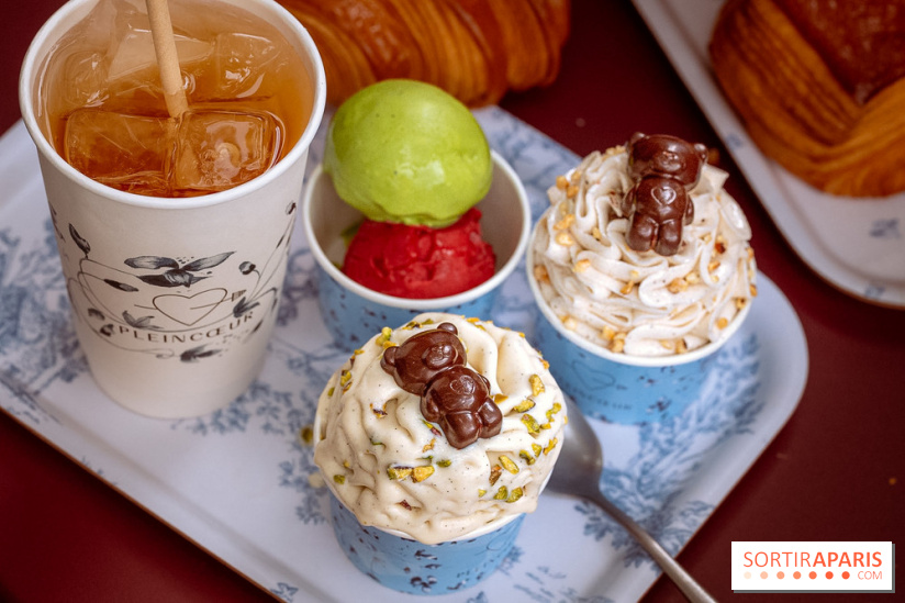 Le comptoir à glaces de Pleincœur et ses coupes glacées - photos