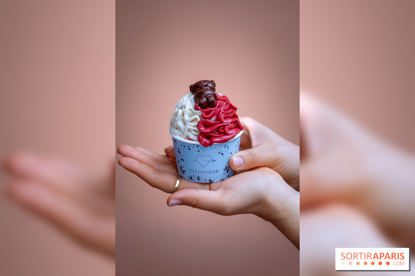 Le comptoir à glaces de Pleincœur et ses coupes glacées - photos