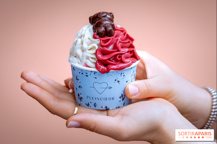 Le comptoir à glaces de Pleincœur et ses coupes glacées - photos