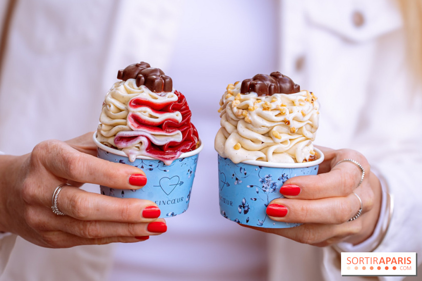 Le comptoir à glaces de Pleincœur et ses coupes glacées - photos