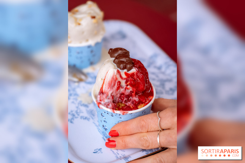 Le comptoir à glaces de Pleincœur et ses coupes glacées - photos