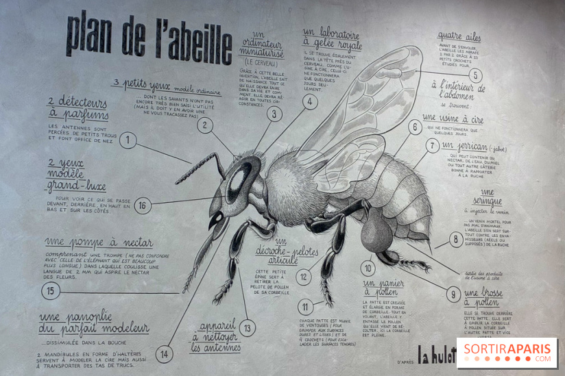 Ateliers autour de l'apithérapie
