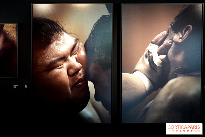 Sumo, forces sacrées : nos photos de l'exposition