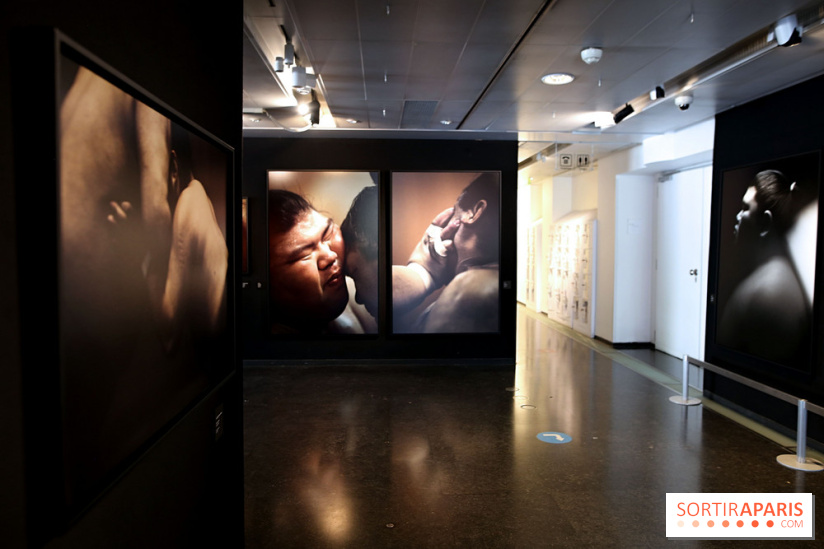 Sumo, forces sacrées : nos photos de l'exposition
