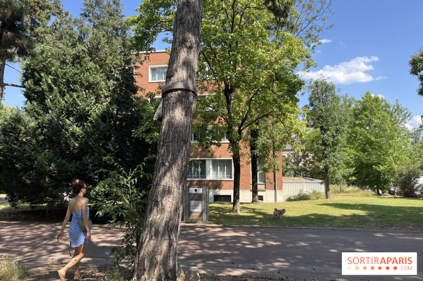 Le parc de la Cité Universitaire, espace vert unique au monde - nos photos