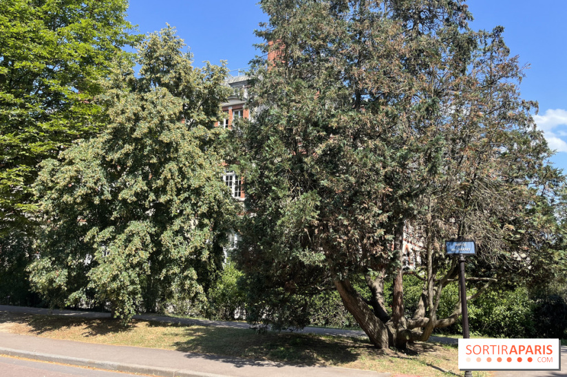 Le parc de la Cité Universitaire, espace vert unique au monde - nos photos