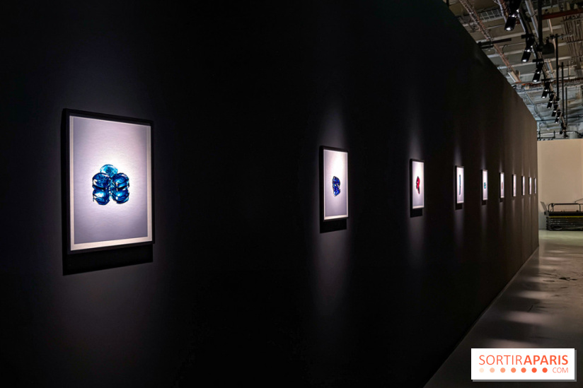 Exposition Pomellato au Palais de Tokyo