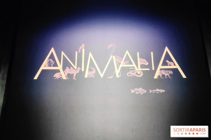 Expo Animalia : quand les animaux inspirent les artistes à travers les siècle à l'Hôtel de la Marine