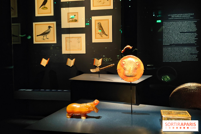 Expo Animalia : quand les animaux inspirent les artistes à travers les siècle à l'Hôtel de la Marine