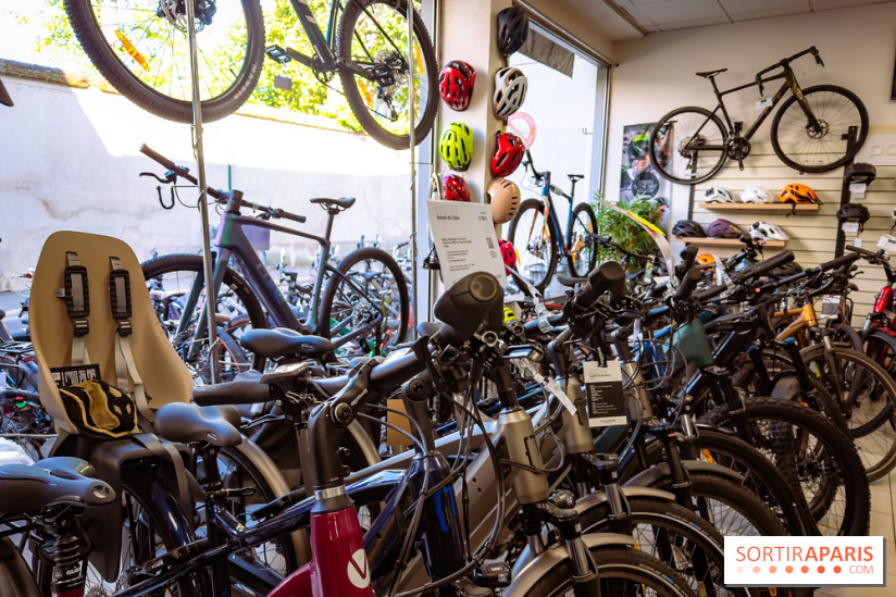 Liaisons douces à Fontainebleau : la forêt à vélo, les photos