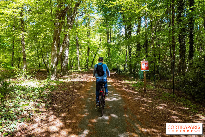 Liaisons douces à Fontainebleau : la forêt à vélo, les photos