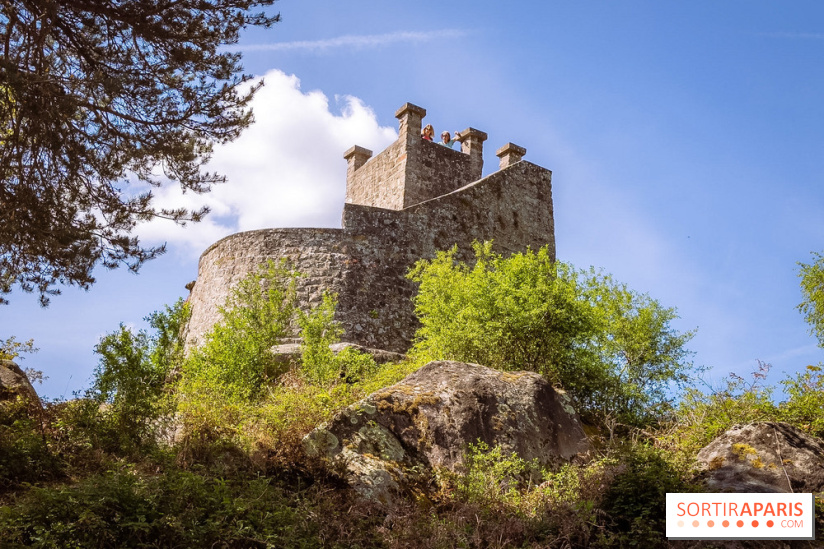 Liaisons douces à Fontainebleau : la forêt à vélo, les photos