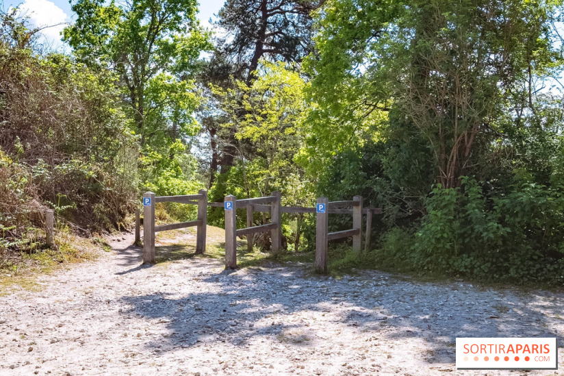 Liaisons douces à Fontainebleau : la forêt à vélo, les photos
